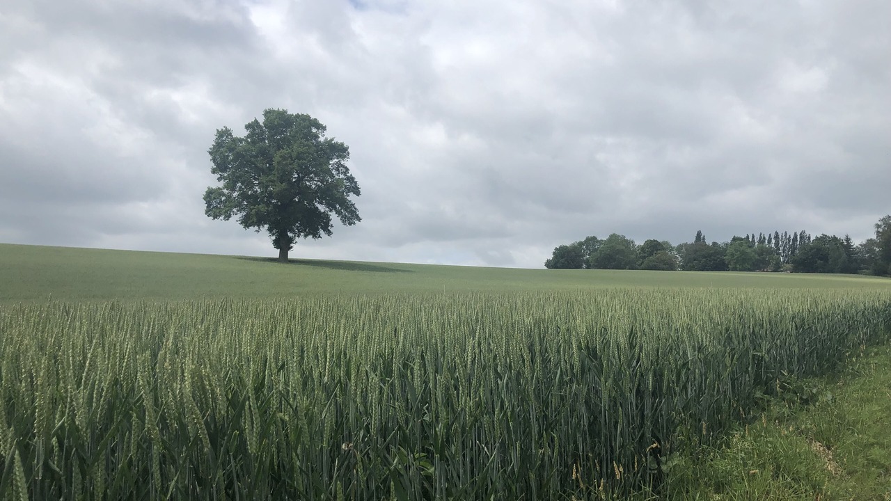 Photo of Outdoor in Beaumont-les-Nonains