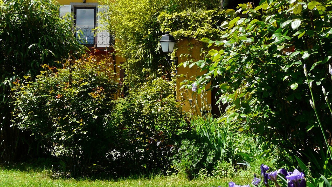 Photo of Outdoor in Saint-Nabor