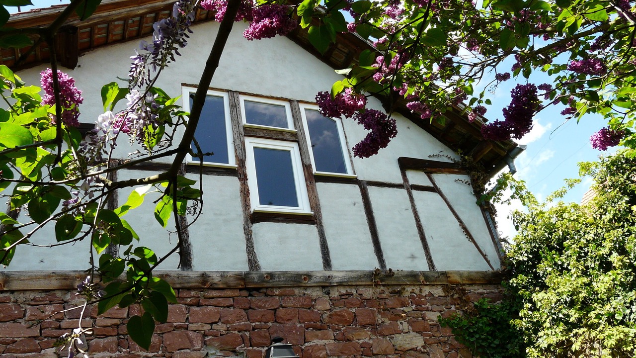 Photo of Outdoor in Saint-Nabor