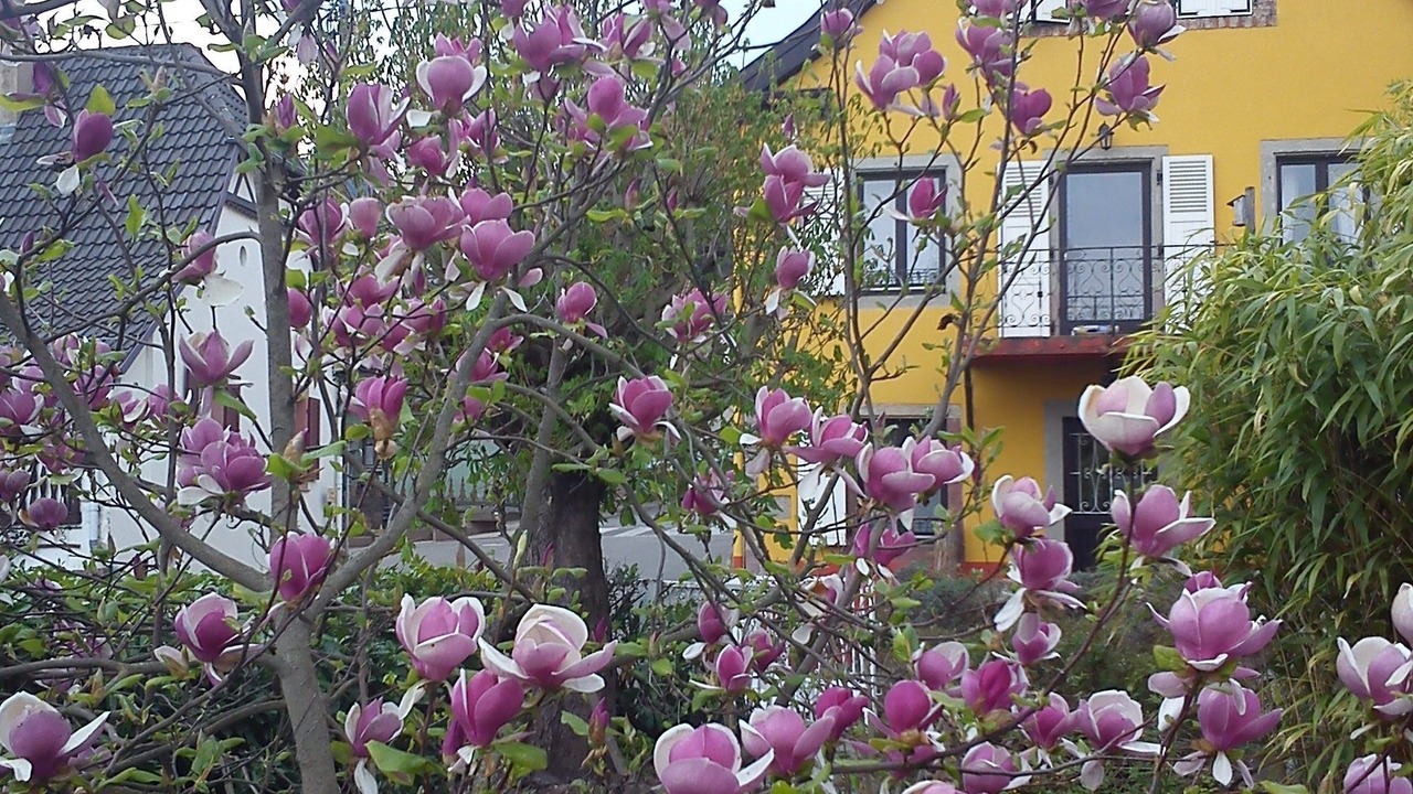 Photo of Outdoor in Saint-Nabor