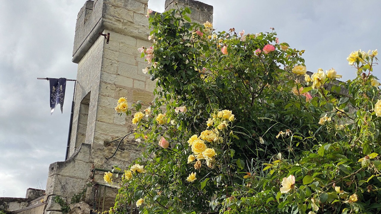 Photo of Outdoor in Montrichard Val de Cher