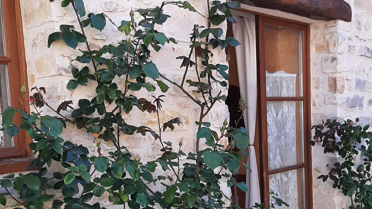 Photo of Outdoor in Recloses