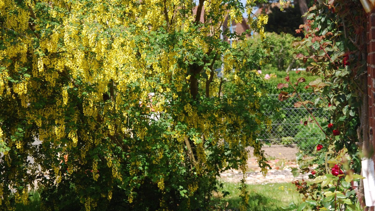Photo of Outdoor in Berneval-le-Grand