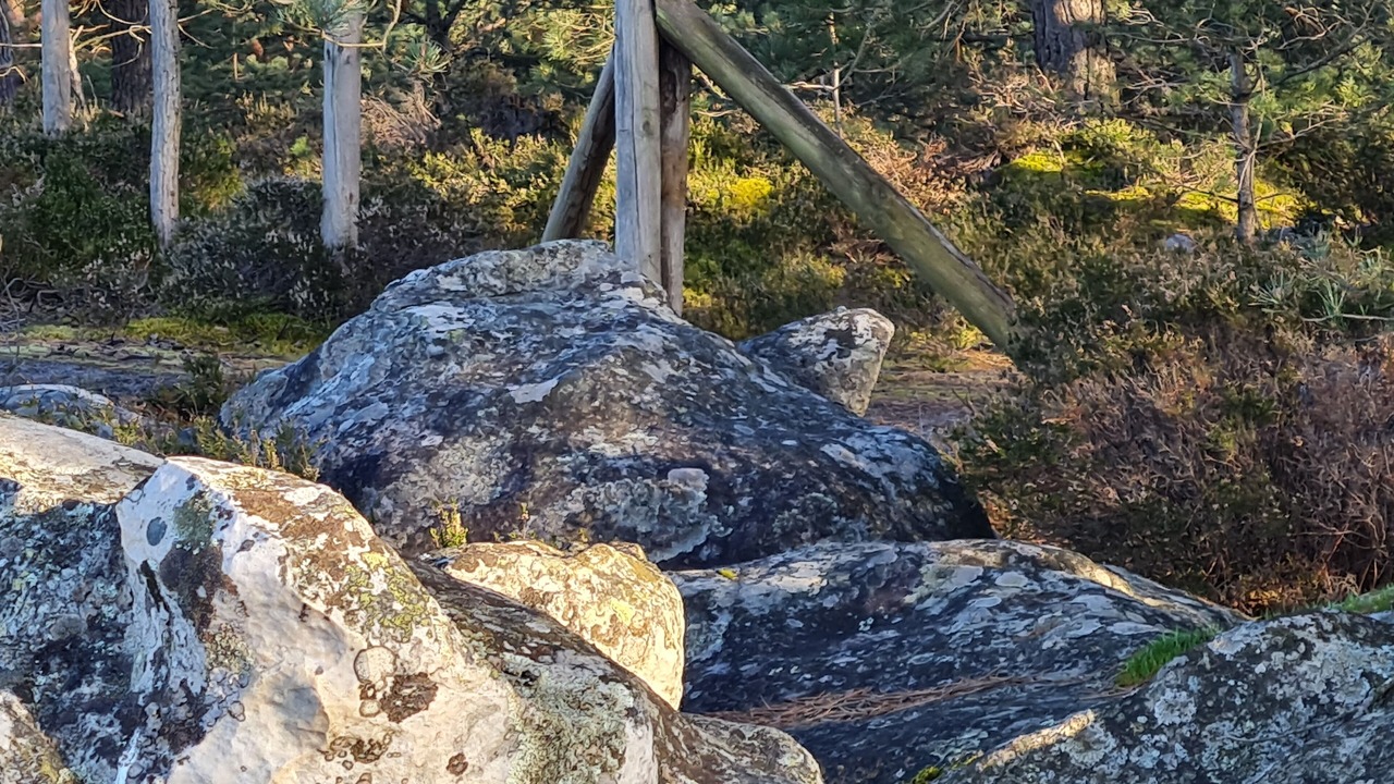 Photo of Others in Dormelles