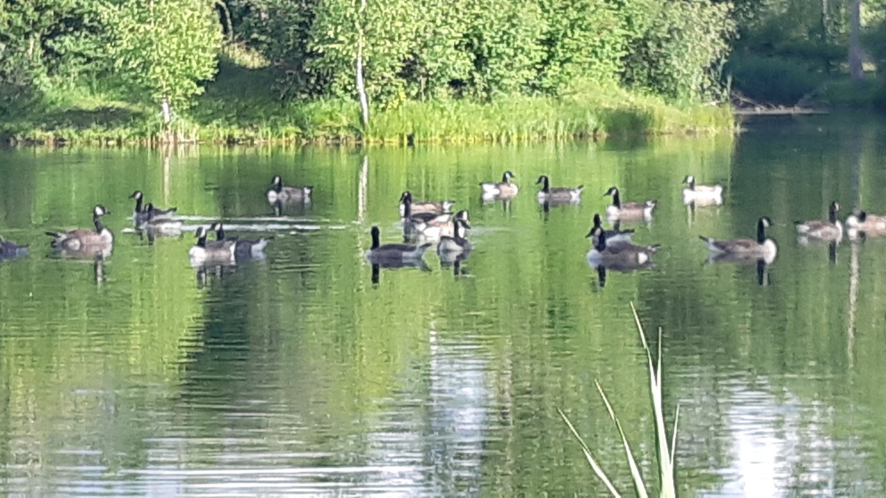 Photo of Others in Dormelles