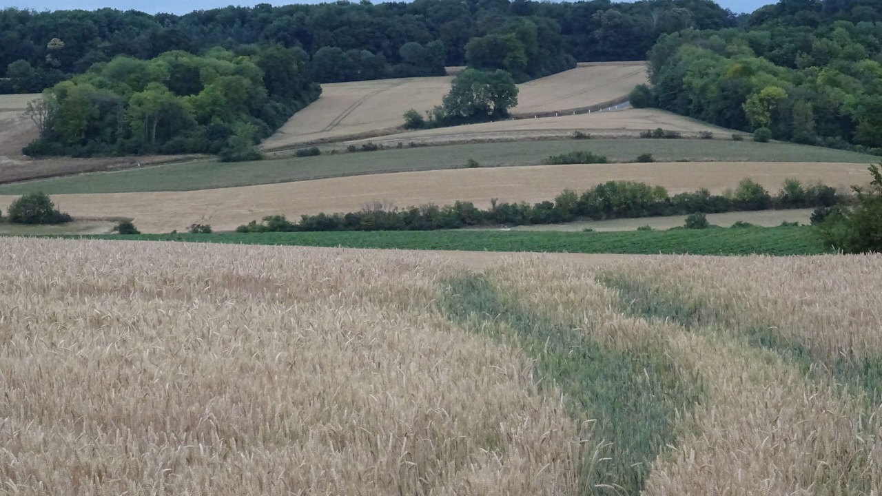 Photo of Others in Driencourt
