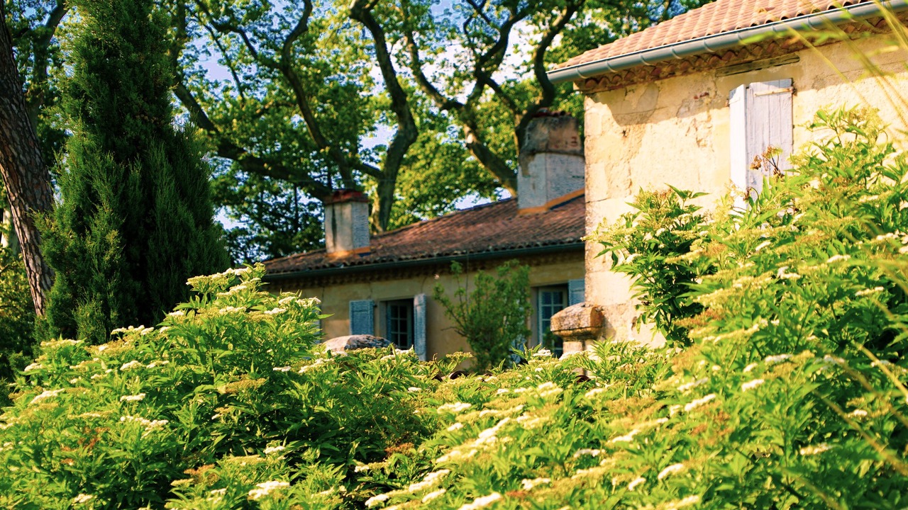 Photo of Outdoor in Castres