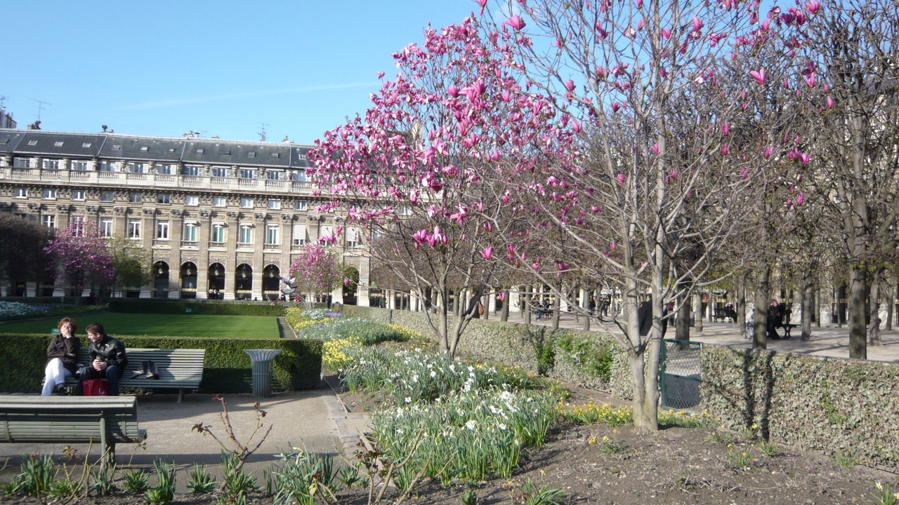 Photo of Outdoor in Quartier du Mail