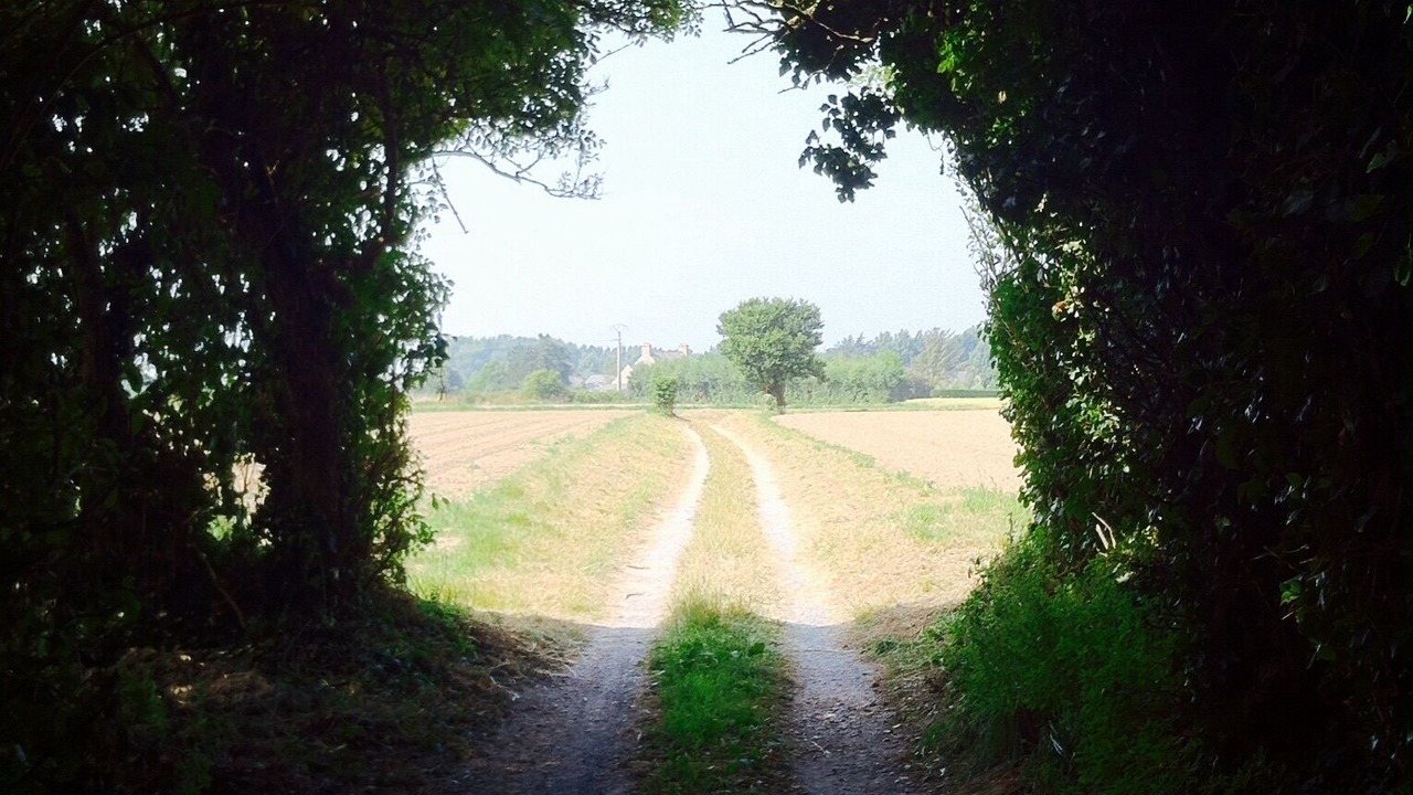 Photo of Others in Cotentin Peninsula