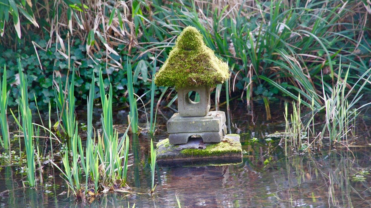 Photo of Outdoor in Bois-le-Roi