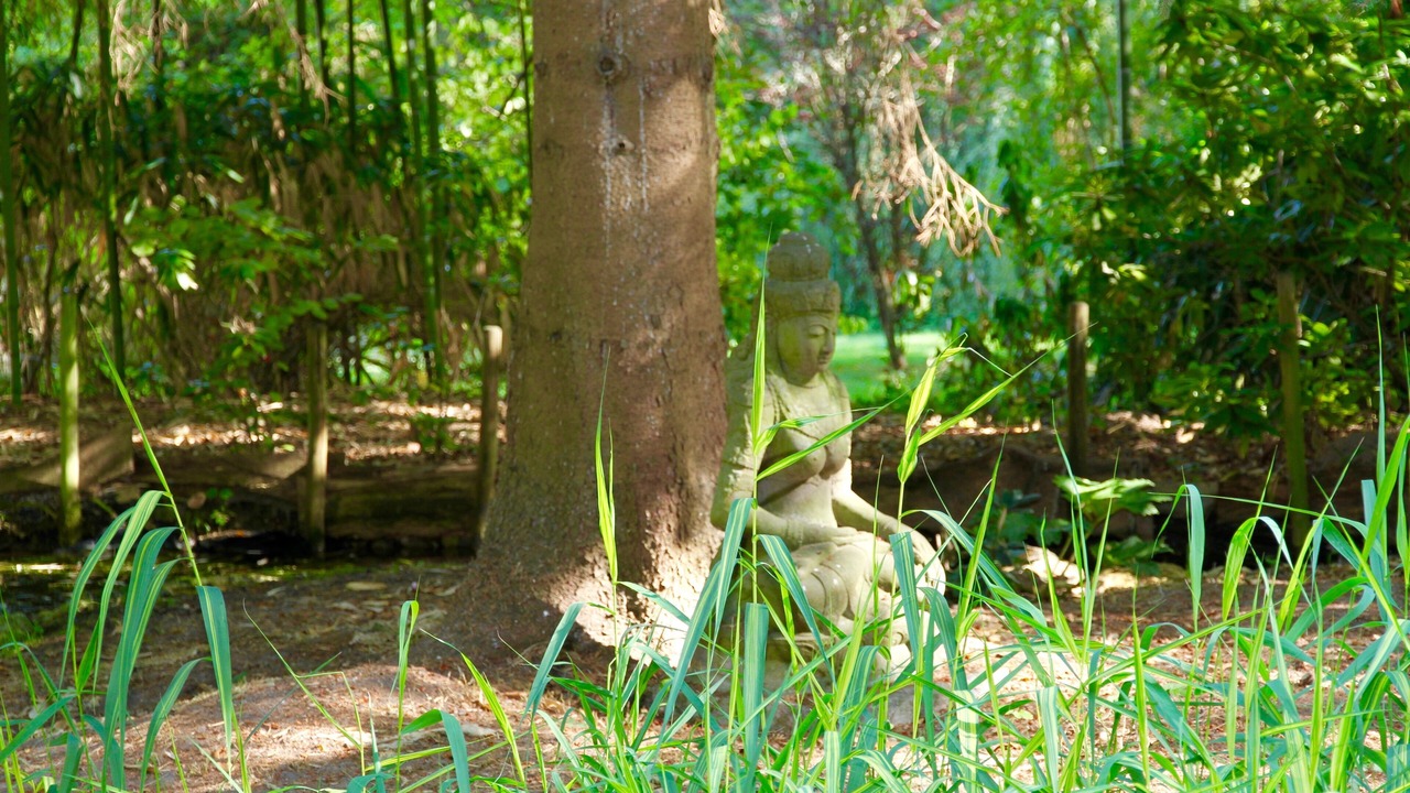 Photo of Outdoor in Bois-le-Roi