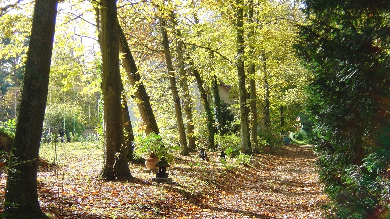 Photo of Outdoor in Bois-le-Roi