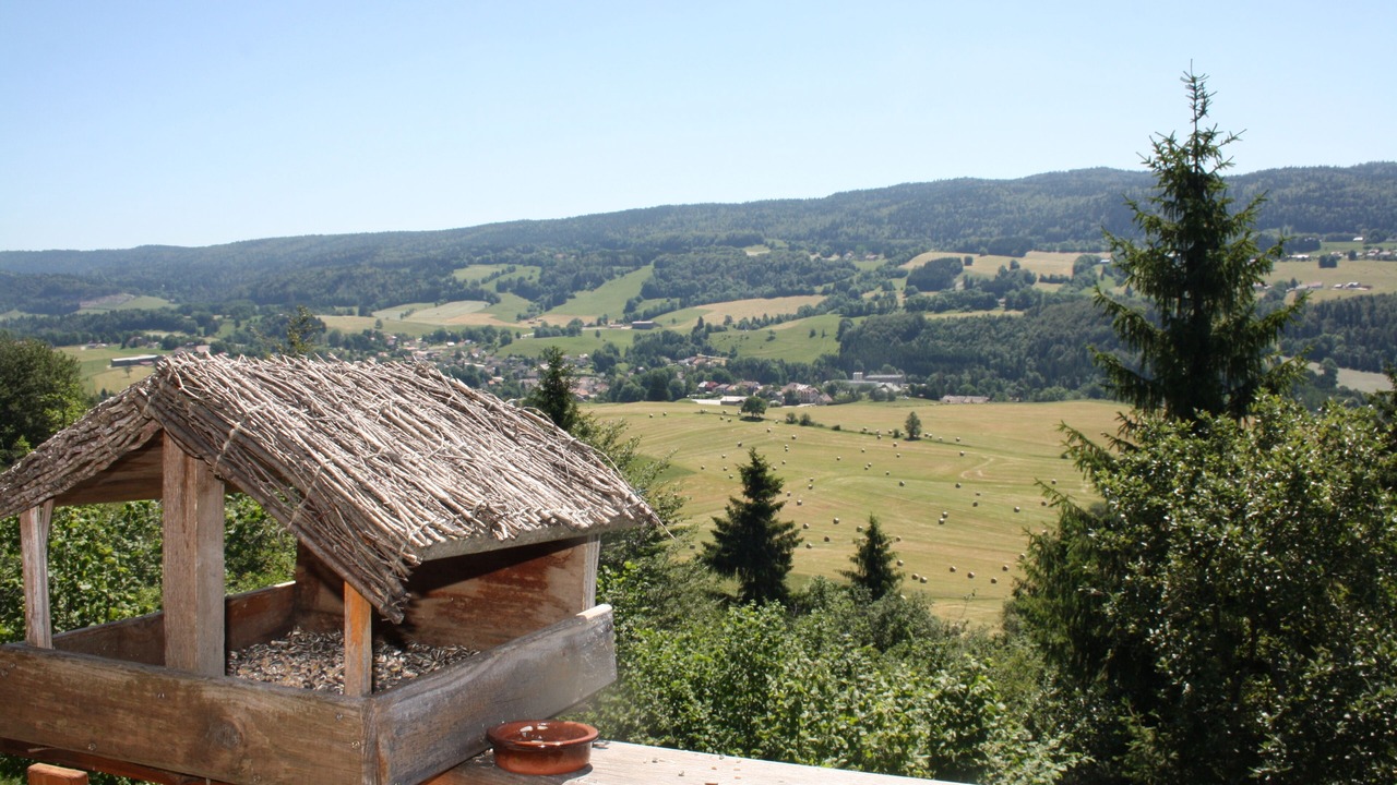 Photo of Outdoor in Foncine-le-Haut