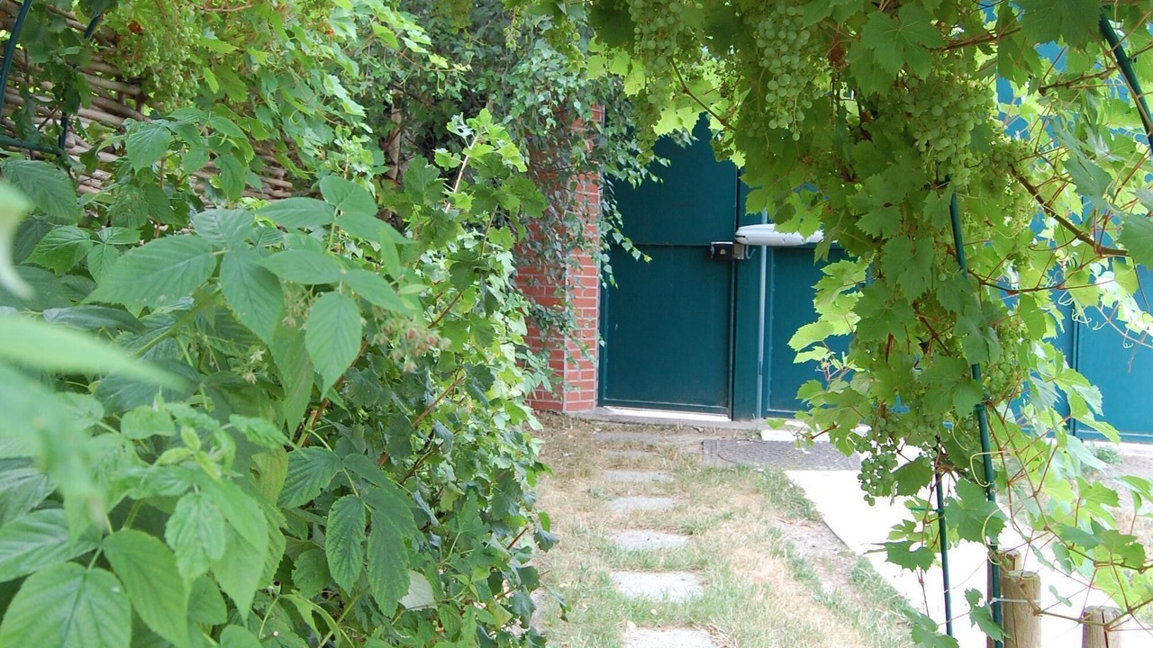 Photo of Outdoor in Chatou