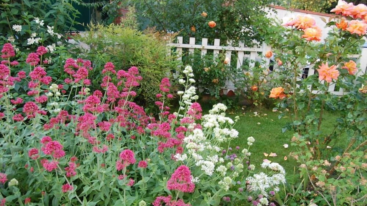 Photo of Outdoor in Chatou