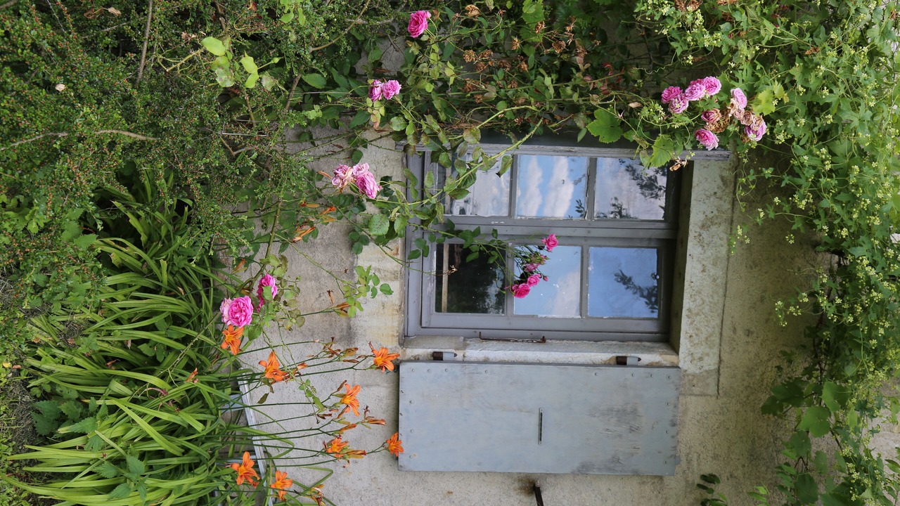 Photo of Outdoor in Savigna