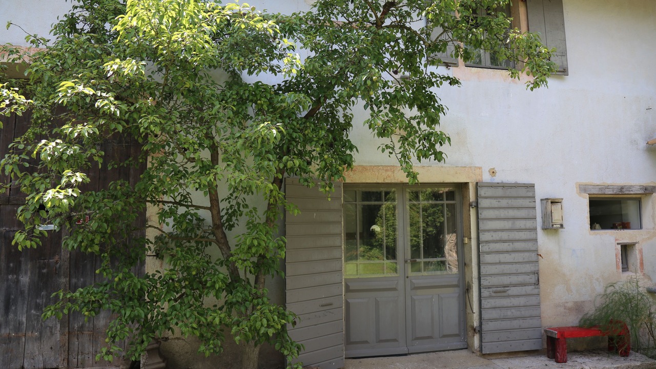 Photo of Outdoor in Savigna