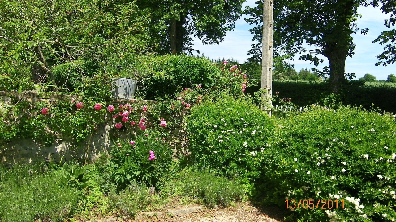 Photo of Outdoor in Blomard