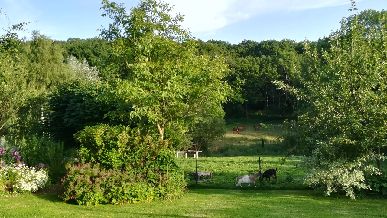 Photo of Outdoor in Valmont