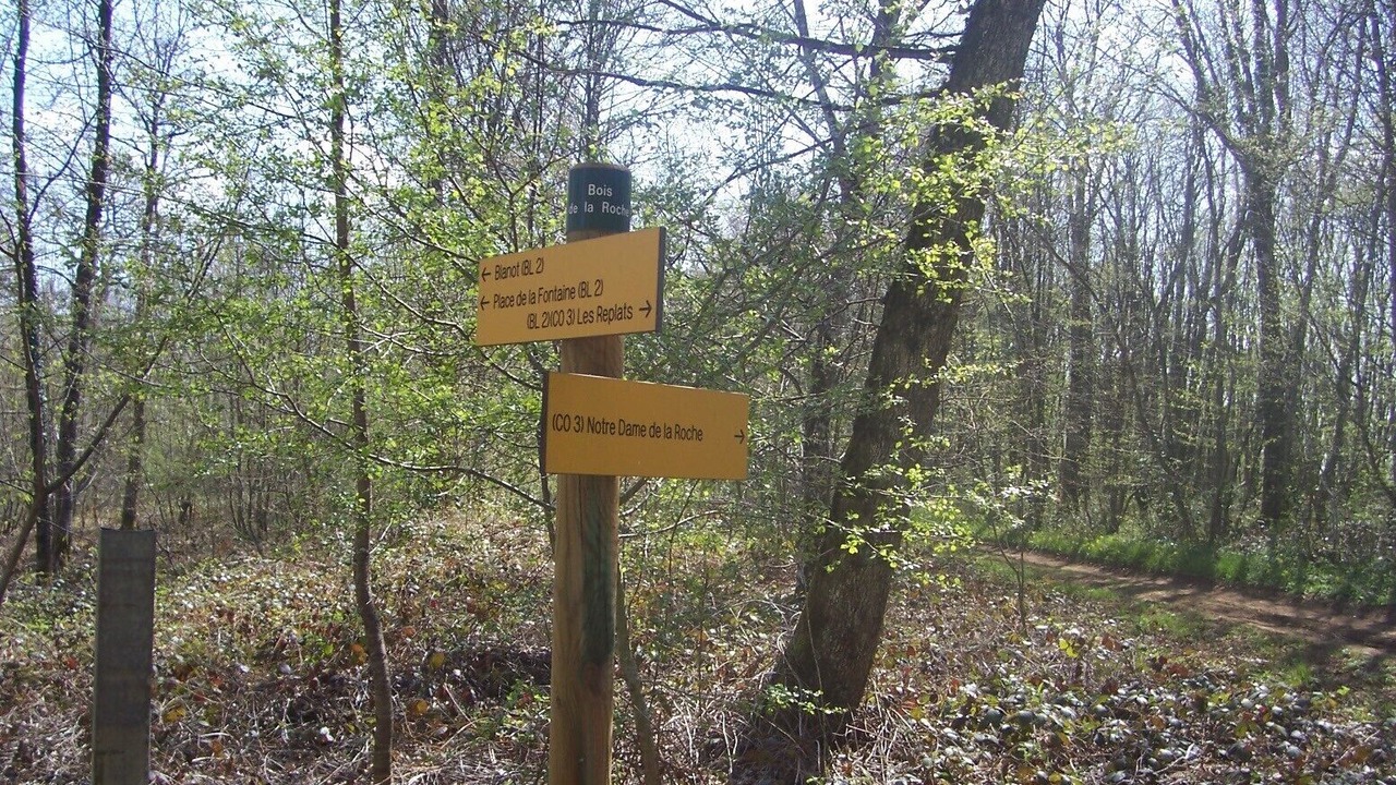 Photo of Outdoor in Chissey-les-Macon