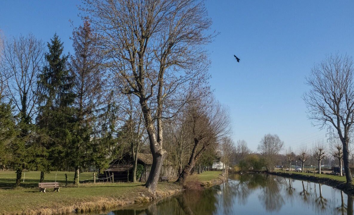 Photo of Others in Eckbolsheim