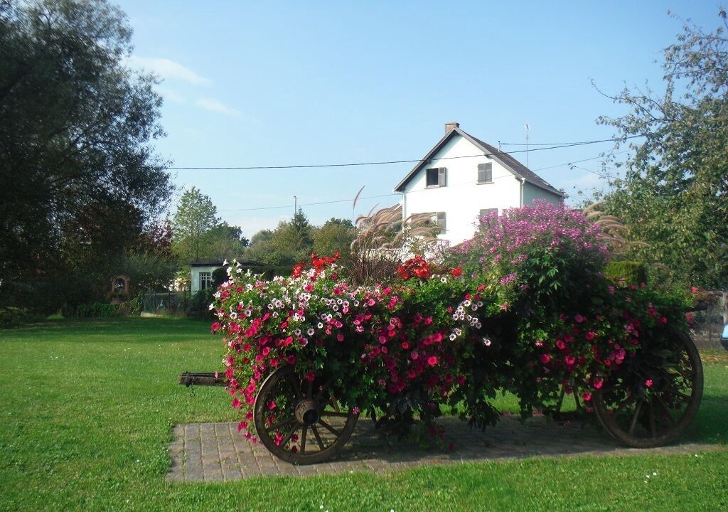 Photo of Outdoor in Wittisheim
