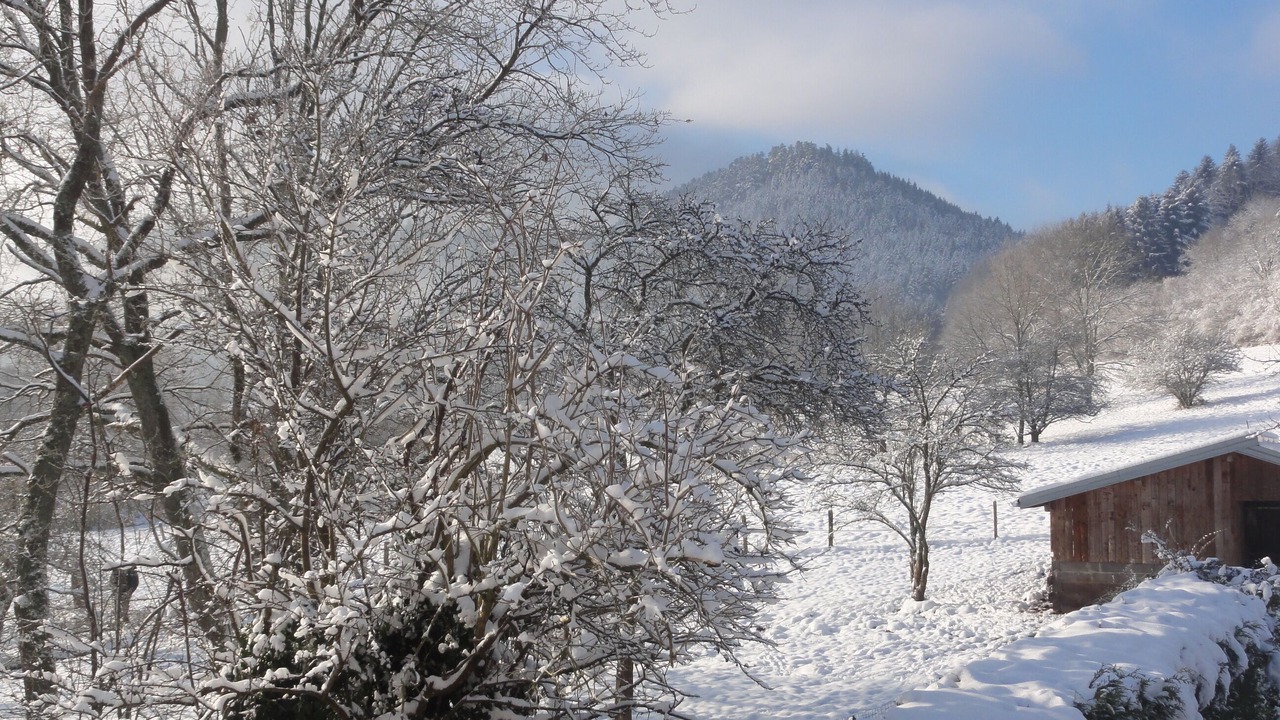 Photo of Outdoor in Saint-Michel-sur-Meurthe