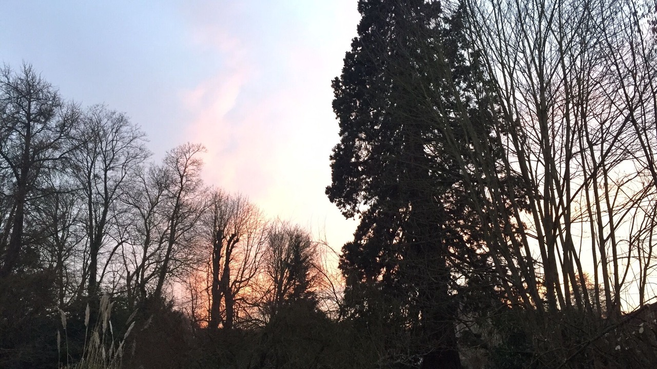 Photo of Outdoor in Orgeval