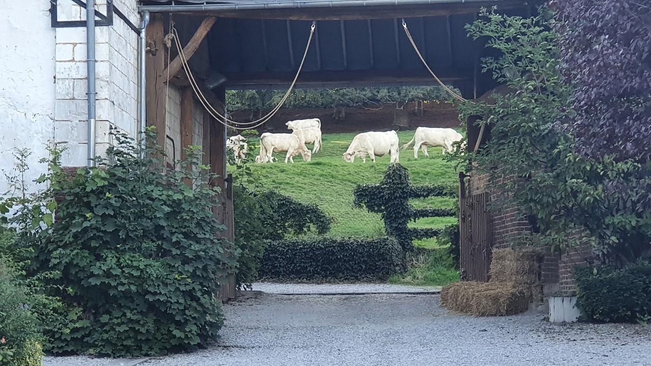Photo of Outdoor in Montcavrel