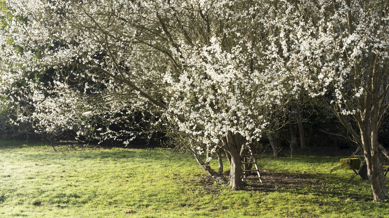 Photo of Outdoor in Cheille