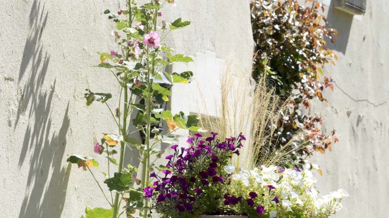 Photo of Outdoor in Cheille