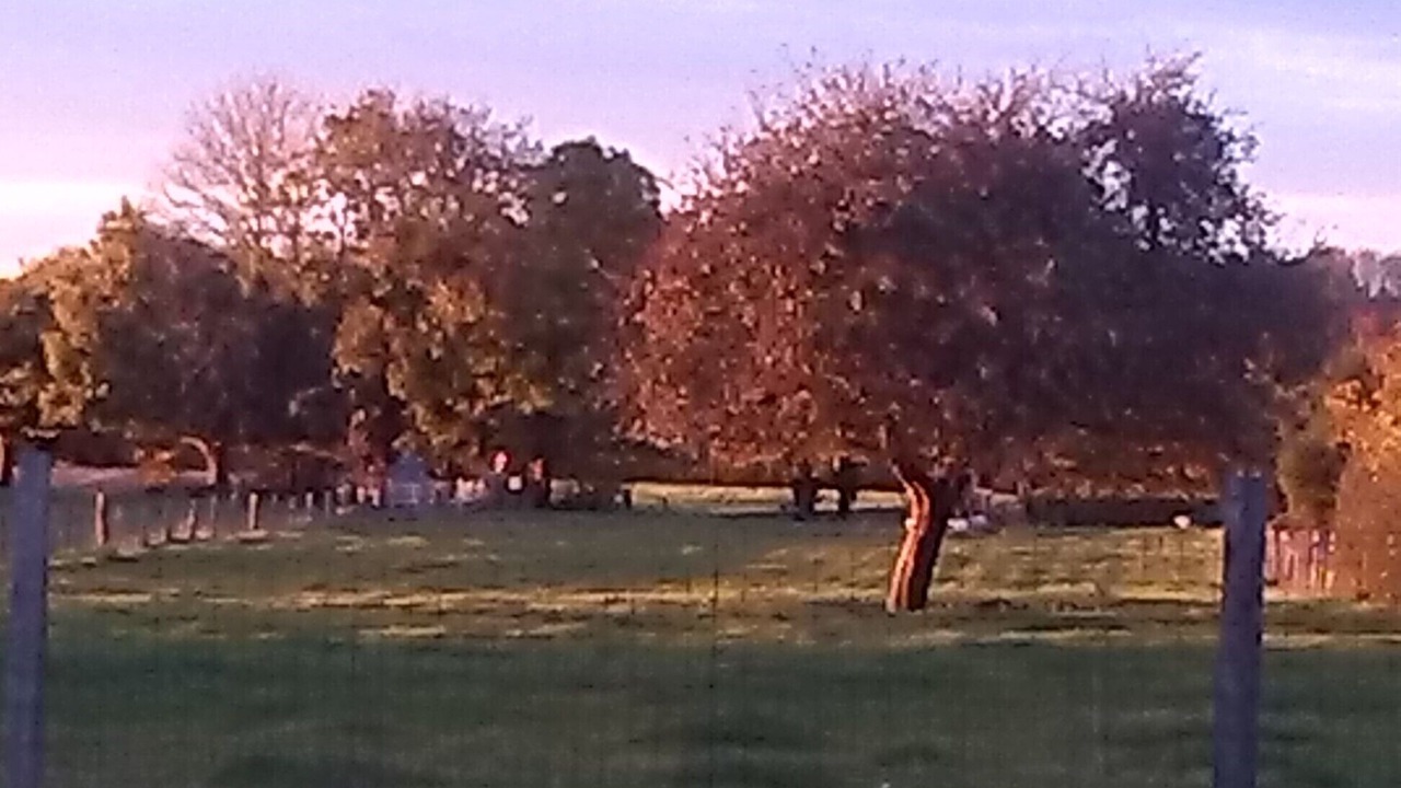Photo of Others in Ternois