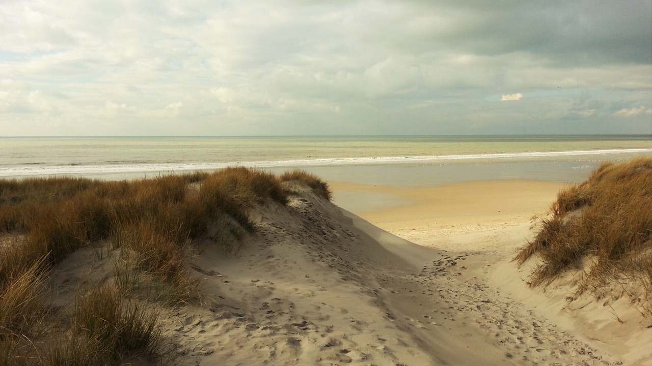 Photo of Others in Sainte-Cecile-Plage