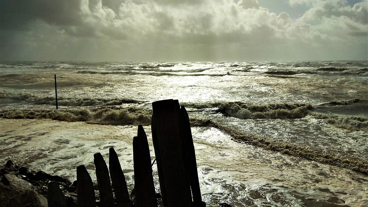Photo of Others in Sainte-Cecile-Plage