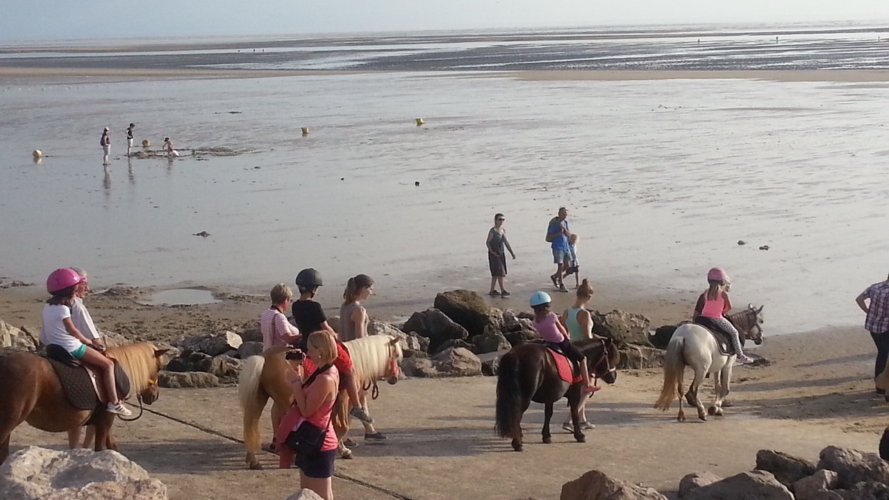 Photo of Others in Sainte-Cecile-Plage