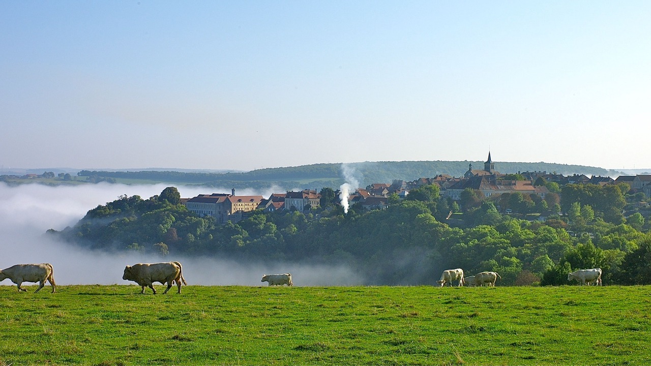 Photo of Outdoor in Flavigny-sur-Ozerain