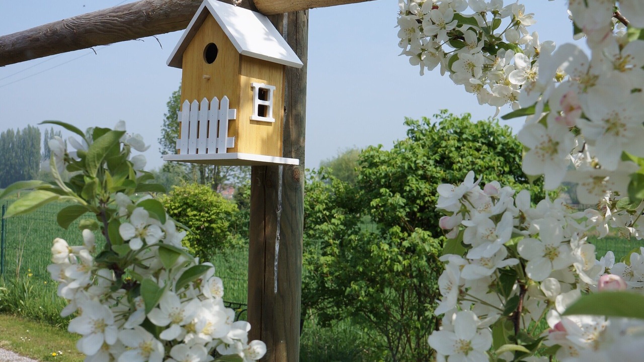Photo of Outdoor in Lecelles