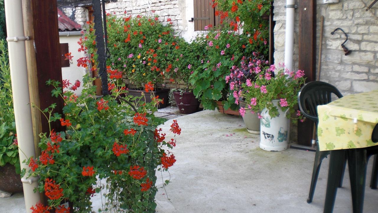Photo of Outdoor in Tanlay