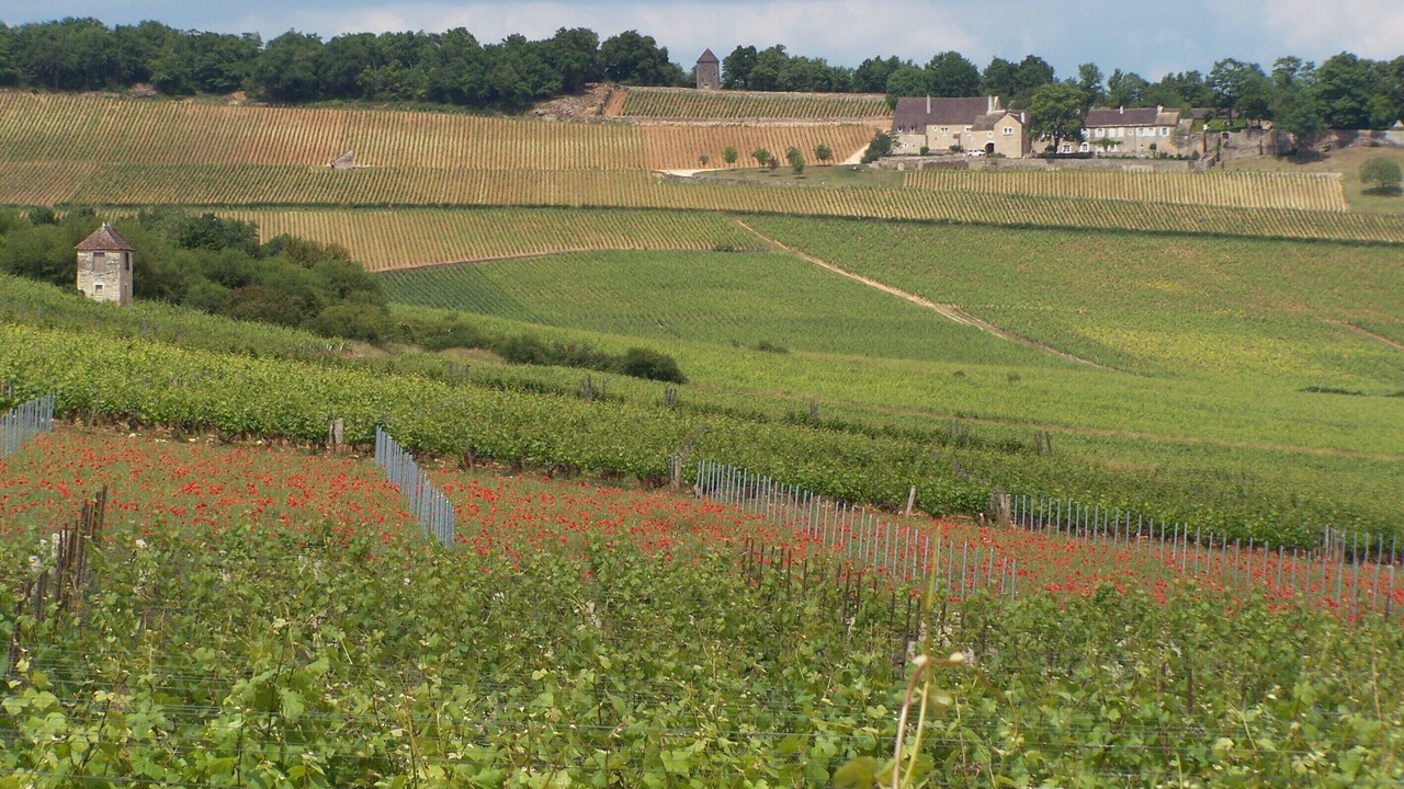 Photo of Others in Givry