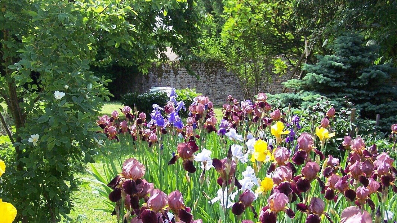 Photo of Outdoor in Givry