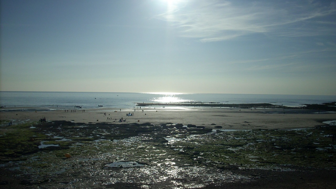 Photo of Others in Ambleteuse
