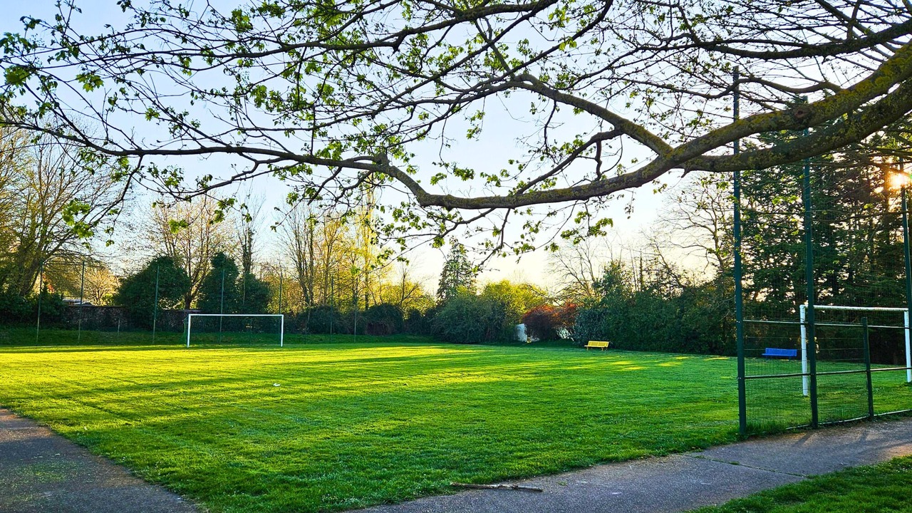 Photo of Others in Pronleroy