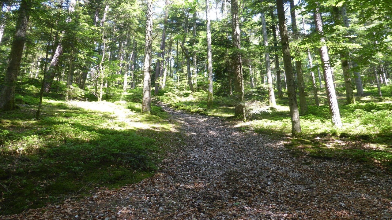 Photo of Outdoor in Epinal