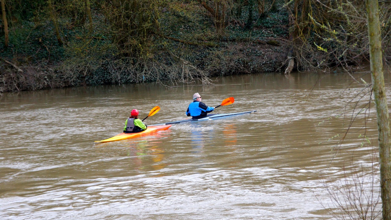 Photo of Others in Chelles