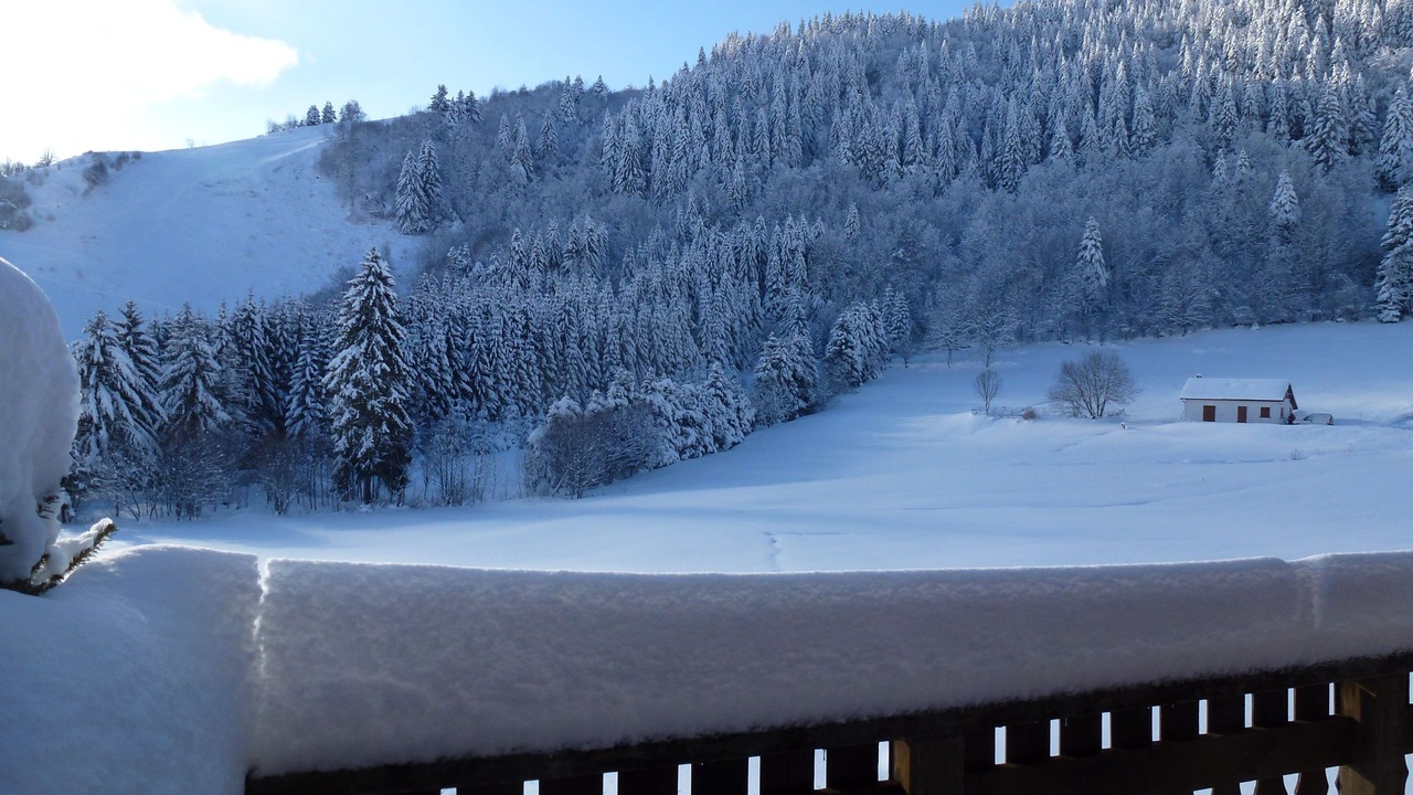 Photo of Outdoor in La Bresse