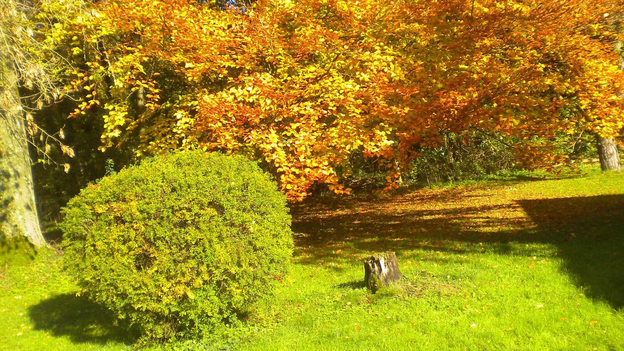 Photo of Outdoor in Bezancourt