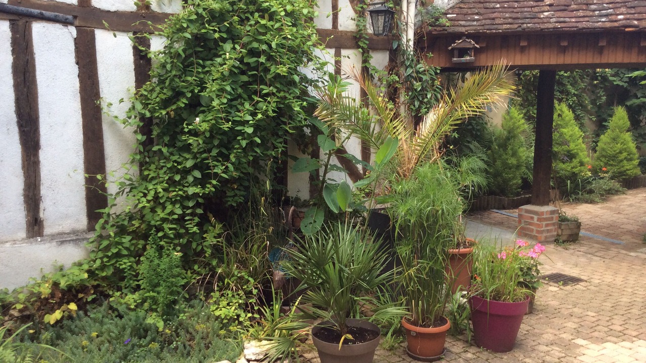 Photo of Outdoor in Auxerre