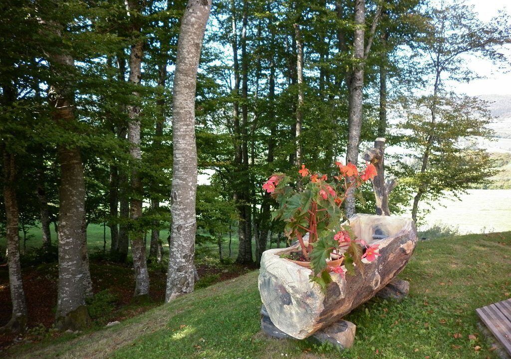 Photo of Outdoor in Foncine-le-Haut