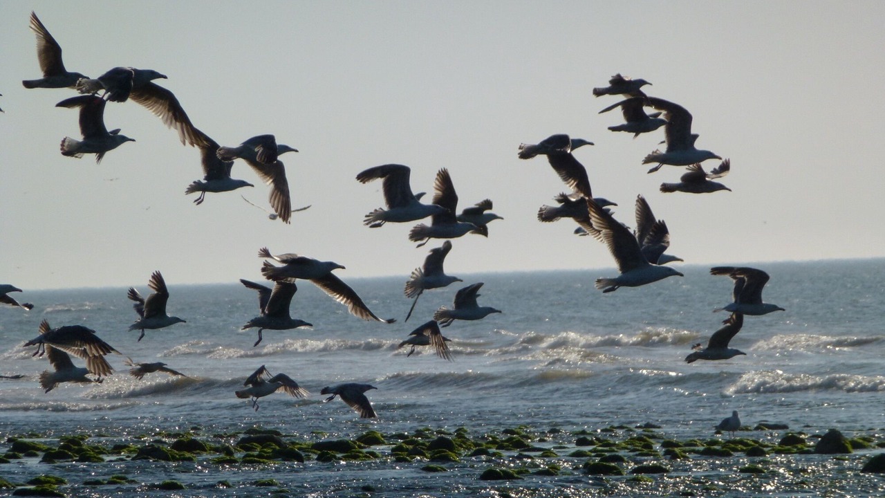 Photo of Others in Quiberville