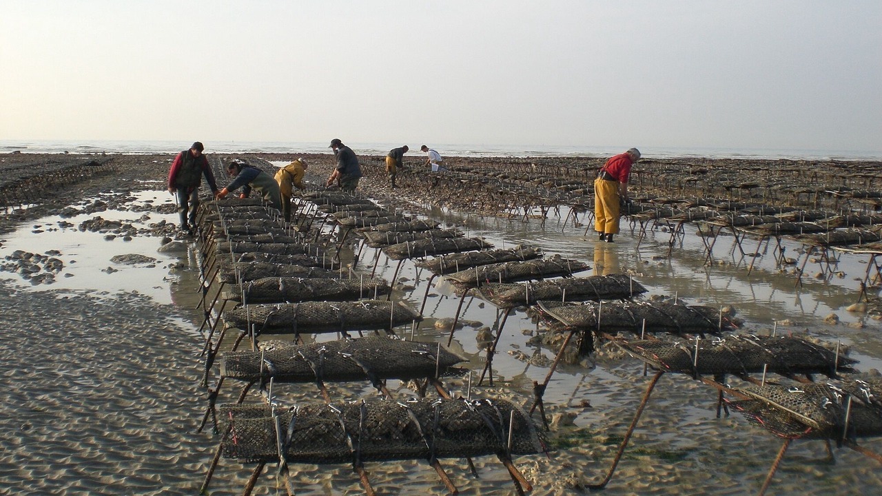 Photo of Others in Quiberville